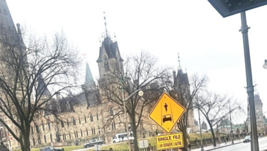 Historic stone building along a street with bare trees and a yellow 'Single File' road sign in the foreground.