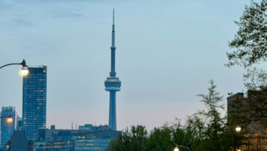 Toronto skyline with the CN Tower rising above buildings, a tree-lined street in the foreground at dusk.
