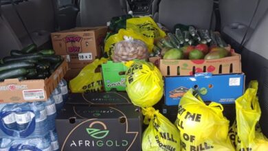 Car trunk full of groceries: boxes of produce, yellow shopping bags, and bottled water.