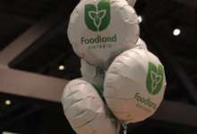 White balloons with a green Foodland Ontario logo floating at an indoor event.