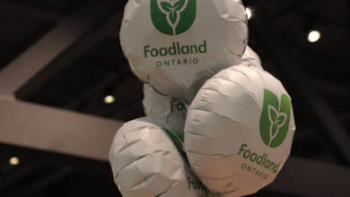 White balloons with a green Foodland Ontario logo floating at an indoor event.