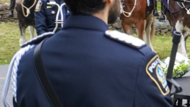 Police officers in ceremonial uniforms at an outdoor event, with riders on horses in the background.