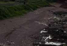Rocky shoreline with wet pebbles, green hillside and steps along the left, and the sea on the right.