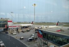 Airport gate area with parked Turkish Airlines planes, jet bridges, and ground vehicles on the tarmac, seen from inside the terminal window.