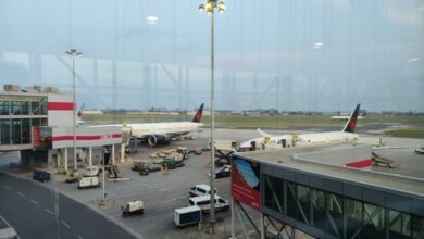 Airport gate area with parked Turkish Airlines planes, jet bridges, and ground vehicles on the tarmac, seen from inside the terminal window.